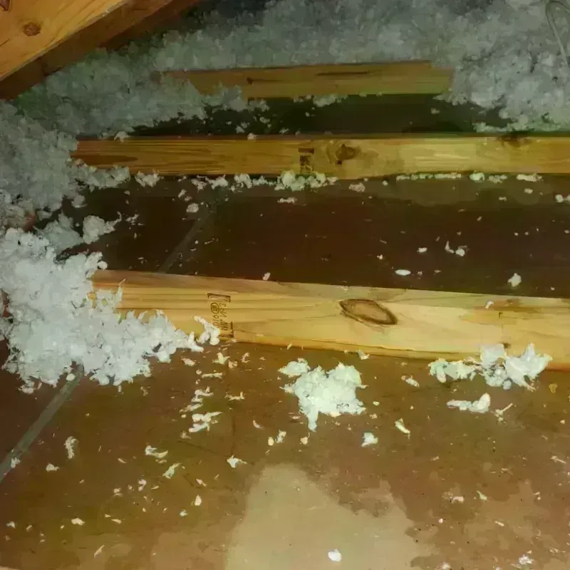 Attic Water Damage in Lomira, WI