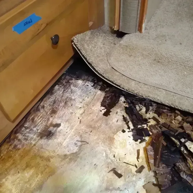 Wood Floor Water Damage in Lomira, WI